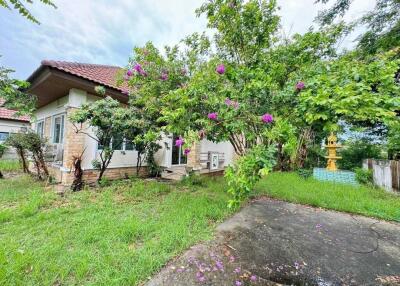 Exterior view of a house with garden