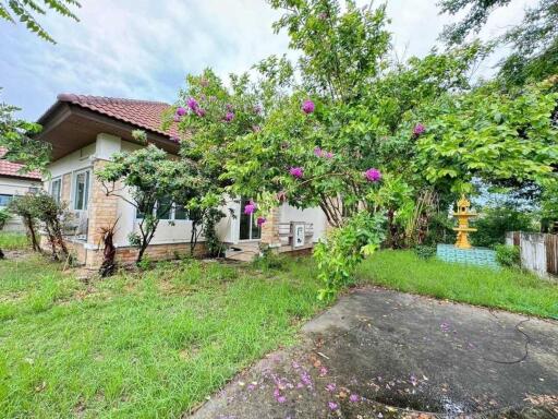 Exterior view of a house with garden