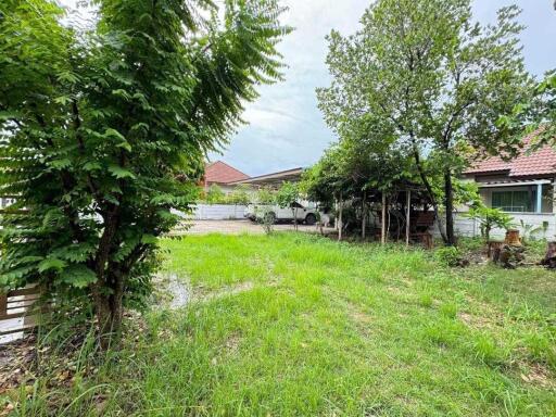 Spacious backyard garden with trees and lawn