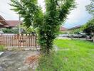 Front yard with driveway and wooden fence