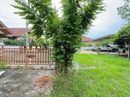 Front yard with driveway and wooden fence