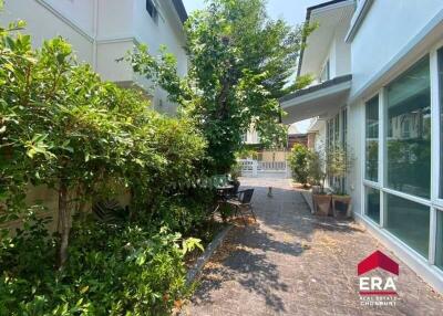 well-maintained garden with green plants and trees along the pathway