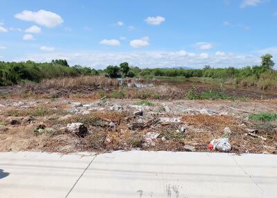 Vacant land with natural surroundings