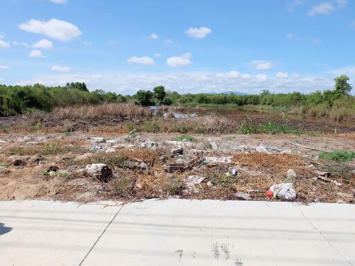 Vacant land with natural surroundings