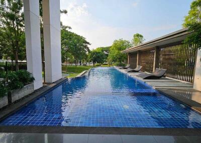 Outdoor swimming pool with lounge chairs