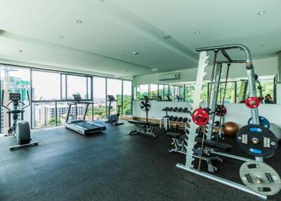 Spacious gym with modern equipment and large windows