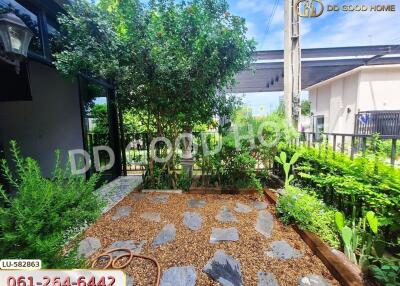 Spacious garden with stone pathway and greenery