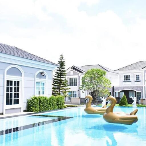 Outdoor swimming pool with inflatable swan floaties