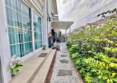 Pathway beside house with greenery and steps