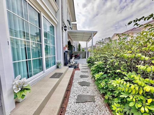 Pathway beside house with greenery and steps