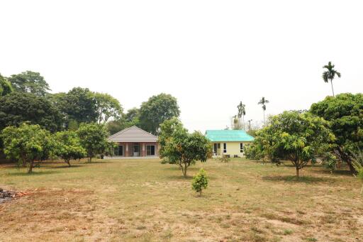 3 Bedroom, 2 Bath Home For Sale Set Upon 2 Rai, 1 Ngan, 9 Talang Wah Land With Mekong River Frontage, Bueng Kan, Thailand