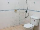 Simple bathroom with shower and toilet