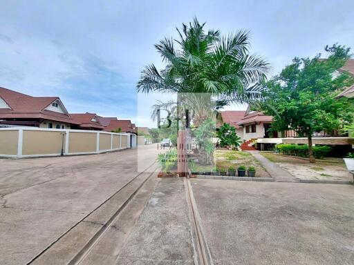 Street view of a residential area with houses and palm trees