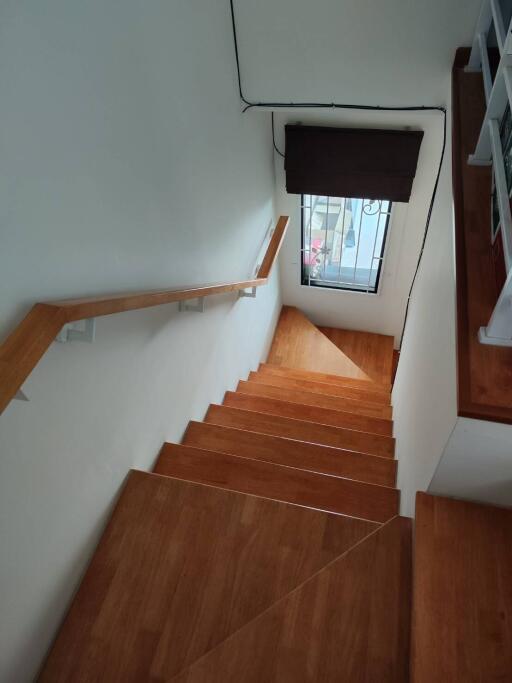 Wooden staircase with window