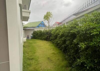 Narrow backyard with green grass and bushes