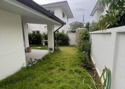 Backyard with lawn and garden hose