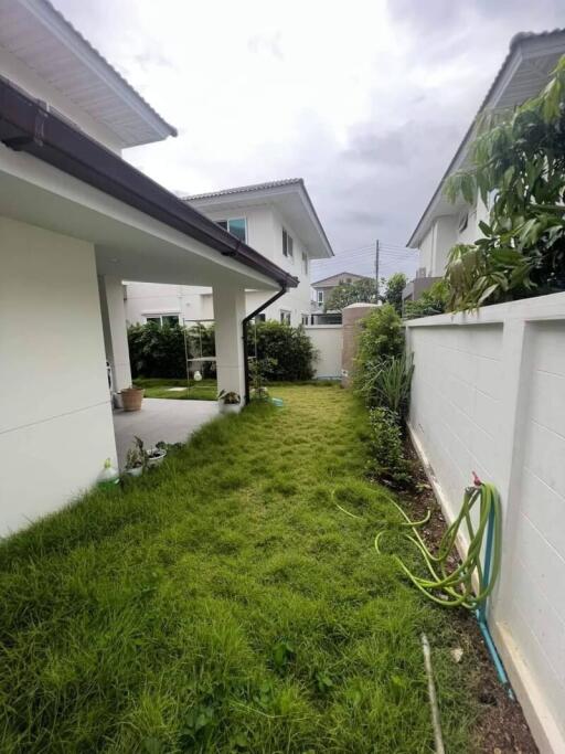 Backyard with lawn and garden hose