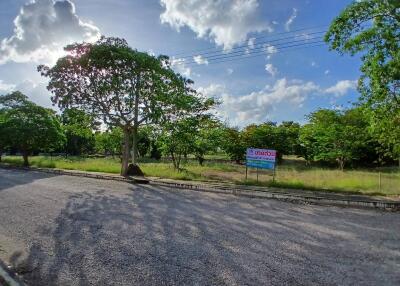 View of a vacant land property with trees and a sale sign under a sunny sky