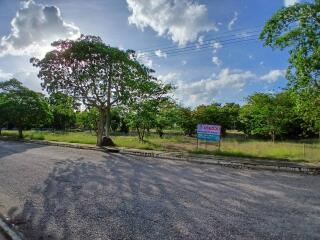 View of a vacant land property with trees and a sale sign under a sunny sky