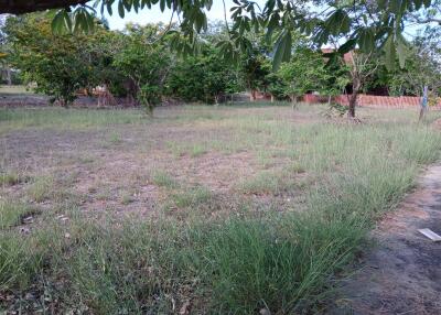 Vacant land with a few trees