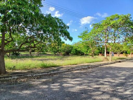 View of outdoor surroundings with greenery and trees