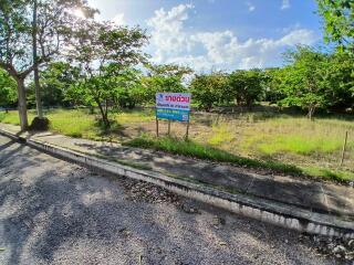 Vacant land with trees and a for sale sign