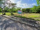 Vacant land with trees and a for sale sign