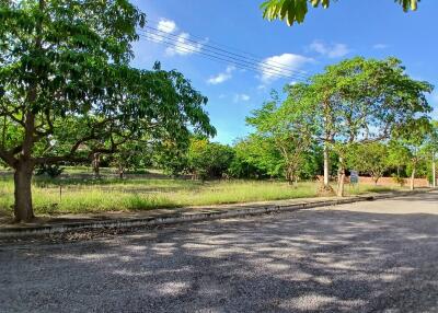 Tree-lined street with greenery