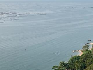 Panoramic ocean view with paddleboarders