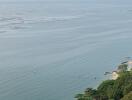 Panoramic ocean view with paddleboarders