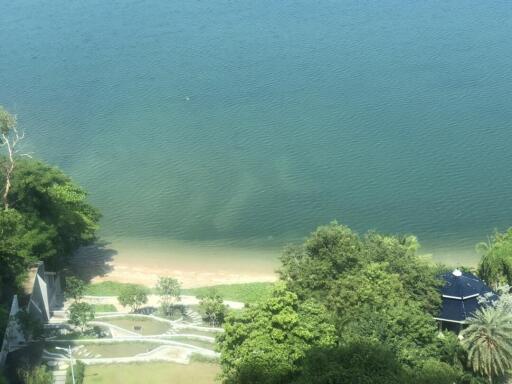 Aerial view of a serene lakeside with greenery