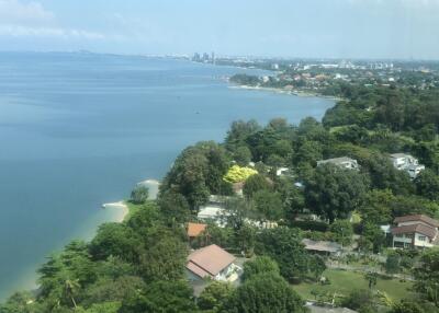 Scenic view of coastline with greenery and distant city skyline