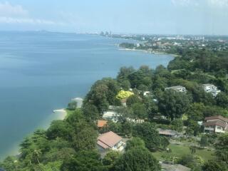 Scenic view of coastline with greenery and distant city skyline