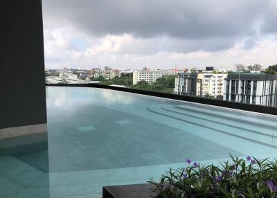 Infinity pool and city view