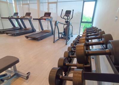 Well-equipped fitness room with treadmills, elliptical machine, dumbbells, and bench