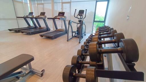 Well-equipped fitness room with treadmills, elliptical machine, dumbbells, and bench