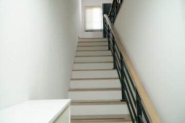 Modern staircase with white walls and wooden steps