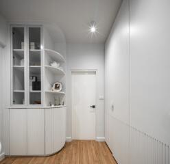 Modern hallway with built-in storage