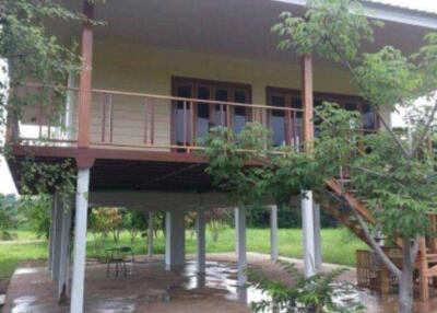 Elevated house with front porch and surrounding greenery