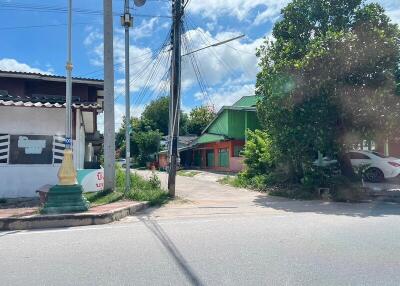 Street view with houses and greenery