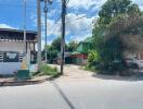 Street view with houses and greenery