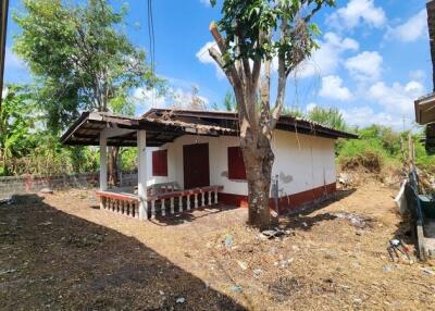 small white house with a tree in front and surrounding dry yard