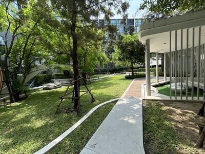 outdoor garden area with greenery and path