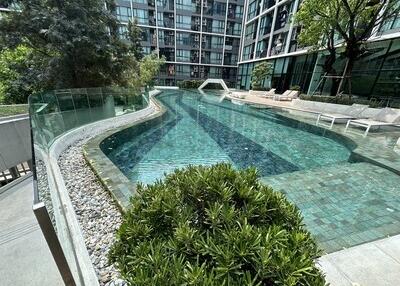 Outdoor swimming pool surrounded by greenery