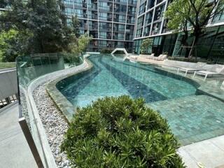 Outdoor swimming pool surrounded by greenery