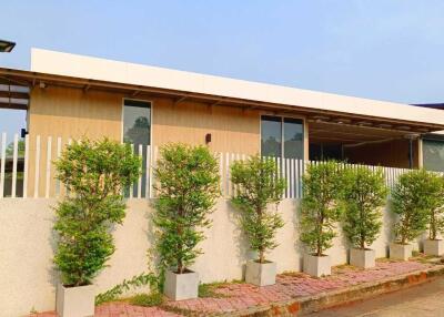 Modern single-story house with a front yard