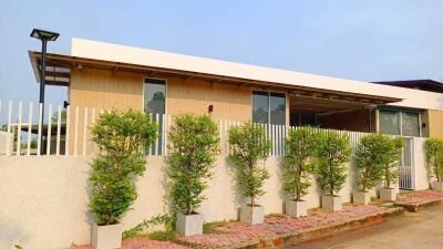 Modern single-story house with a front yard