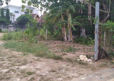 Outdoor area with vegetation and some trees