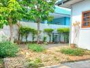 Outdoor garden area with plants, trees, and tiled patio