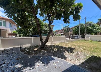 View of a tree and garden in the backyard with nearby houses in view